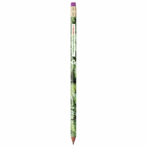 BIC® Evolution Digital Colour Connection Ecolutions® matita